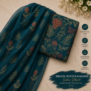 chunnars winter 0031.webp