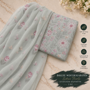 chunnars winter 0041.webp